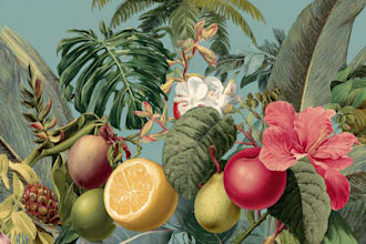 draw realistic plants, vegetables, fruits