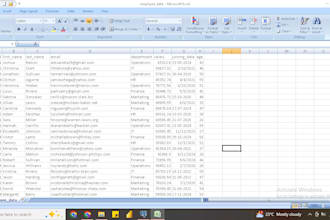 excel data cleaning and visualisation