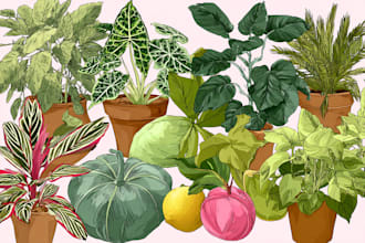 draw vector plants, fruits and vegetables illustration
