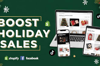 holiday SEO for shopify, tiktok and fb boost xmas sales and visibility