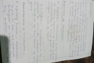 provide neat and accurate hand written documents