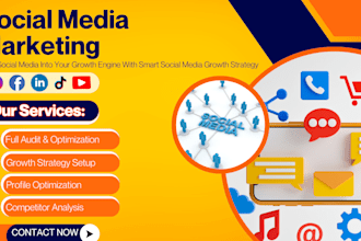 provide social media audit and growth strategy for small businesses