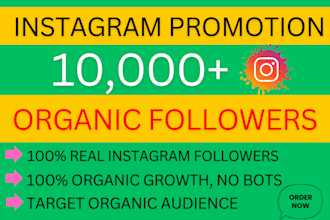 increase social media followers