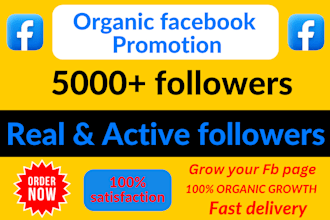 increase social media followers