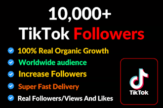 increase social media followers