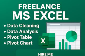 do data cleaning, data analysis, pivot table and charts in excel