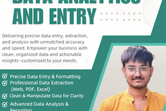 do data entry, extraction, manipulation, and data analysis