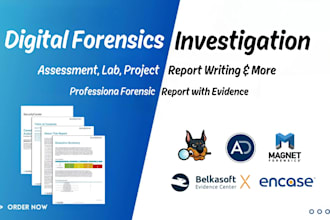 do digital forensics , computer forensics task, lab, assessment and projects