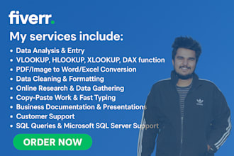 be your data analyst, documentation and data entry assistant