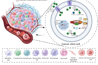 design professional scientific figures, illustrations and posters for research