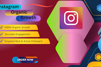 be your professional instagram growth manager