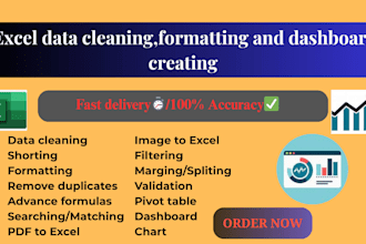 be your excel expert for data cleaning, analysis,  dashboard