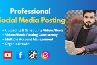 manage and optimize your youtube, tiktok, and facebook accounts