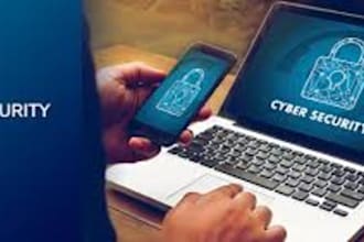 do pen test, vapt, detail reporting, website security, network analysis