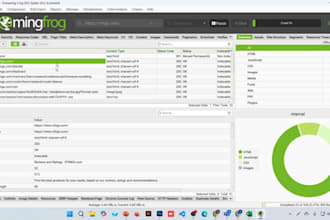do wordpress website on page SEO audit