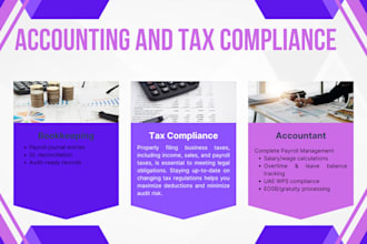 handle uae corporate tax, vat filing, and expert bookkeeping services