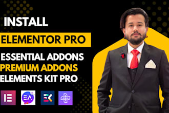install elementor pro and premium addons auto updateable