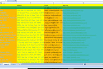do  web research, copy paste, excel data entry, and web scraping