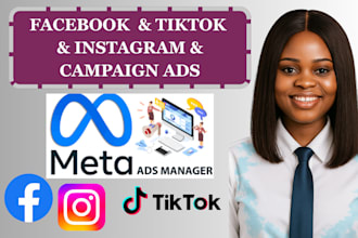 fix set up manage facebook and instagram pixel and meta ads campaign