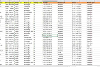 provide verified real estate wholesalers leads generation with skip tracing