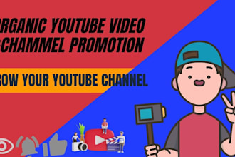do premium youtube video promotion to gain views for channel growth