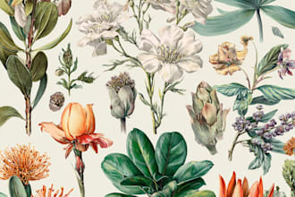 create a realistic botanical illustration drawing
