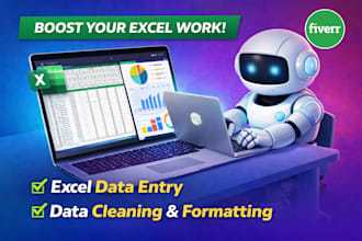 accurate excel data entry data cleaning data formatting services