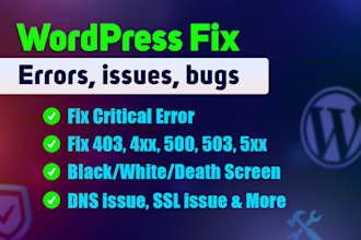 fix wordpress issues, wordpress bug fix, fix wordpress error