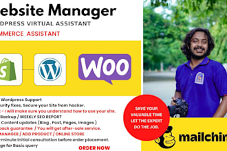 manage wordpress woocommerce shopify wix store and website maintenance