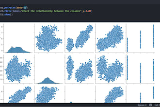 do provide professional data science and machine learning services