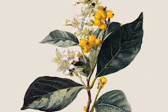 draw realistic botanical illustration