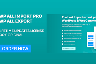 install wp all import pro and wp all export pro lifetime updates