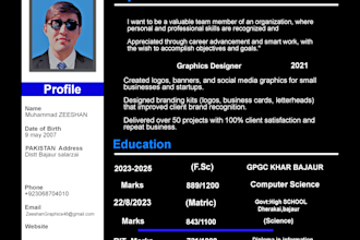 professional resume maker and tech CV writing service