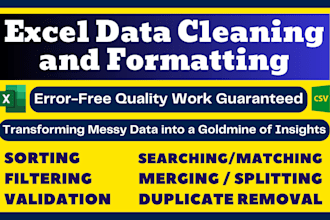 do ms excel data cleaning and formatting, merging, splitting, sorting, deduping