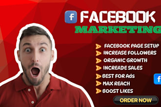 setup and grow your facebook page with organic and ads strategy