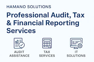 assist with audit, tax compliance, and financial solutions