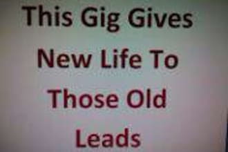give you my highly requested prospecting script that works like a charm when contacting old leads that never joined your business