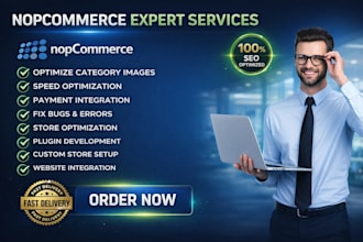 build fix optimize nopcommerce site payment integration spree commerce ecommerce