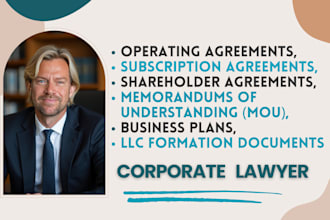 operating subscription shareholder agreements mou businessplan llc lawyer