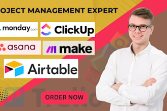 setup and automate clickup, asana or monday com workflows, dashboards, pipeline