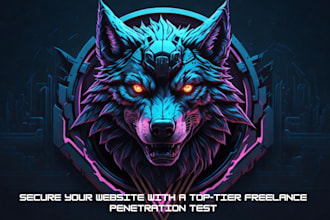 perform a website or web application vulnerability assessment