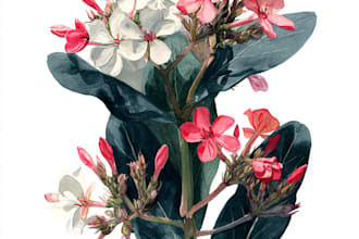 draw an animal and botanical illustration