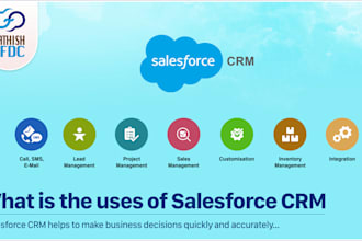 be your dedicated salesforce administrator