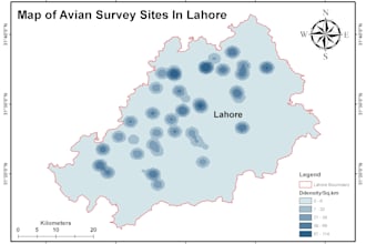 do gis maps, spatial analysis, and google earth services