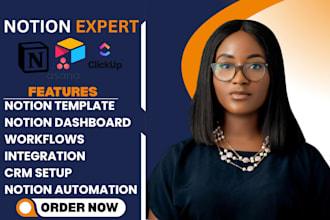 build custom notion template notion dashboard workflow, notion automation expert