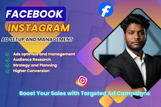setup and manage facebook and instagram ads campaign