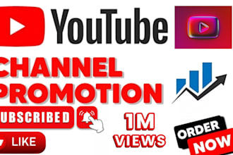 do organic youtube promotion, video marketing and channel growth