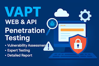 do penetration testing and vapt for websites API and networks VA