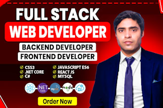 create dynamic full stack websites with reactjs net core HTML and CSS