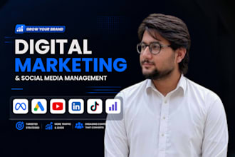 ai website development ai web application, ai software developer